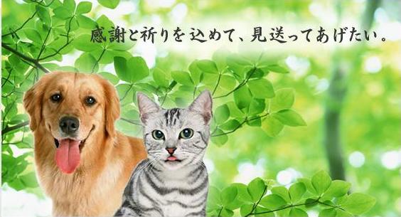 感謝と祈りを込めたペット葬儀・ペット火葬を