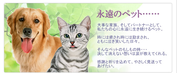 感謝と祈りを込めたペット葬儀・ペット火葬を