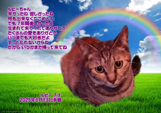ybgVEybgΑ I̐s r[