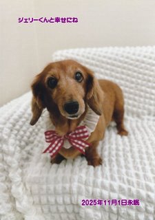 �y�b�g���V�E�y�b�g�Α� ��o�s �g�s�[�����