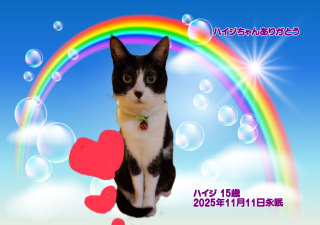 �y�b�g���V�E�y�b�g�Α� �a�̎R�s �n�C�W�����