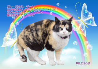 �y�b�g���V�E�y�b�g�Α� �a�̎R�s �~�[�`���������