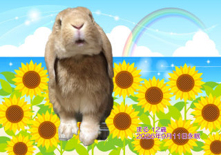�y�b�g���V�E�y�b�g�Α� �哌�s �܂邿���