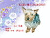 ペット葬儀　ペット火葬　愛西市　モコちゃん